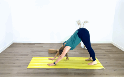 Hatha Vinyasa Yoga (100% visio)
